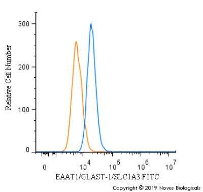 Flow Cytometry: EAAT1/GLAST-1/SLC1A3 Antibody [FITC] [NB100-1869F] - An intracellular stain was performed on Caco-2 cells with EAAT1/GLAST-1/SLC1A3 Antibody NB100-1869F (blue) and a matched isotype control (orange). Cells were fixed with 4% PFA and then permeabilized with 0.1% saponin. Cells were incubated in an antibody dilution of 10 ug/mL for 30 minutes at room temperature. Both antibodies were conjugated to FITC.